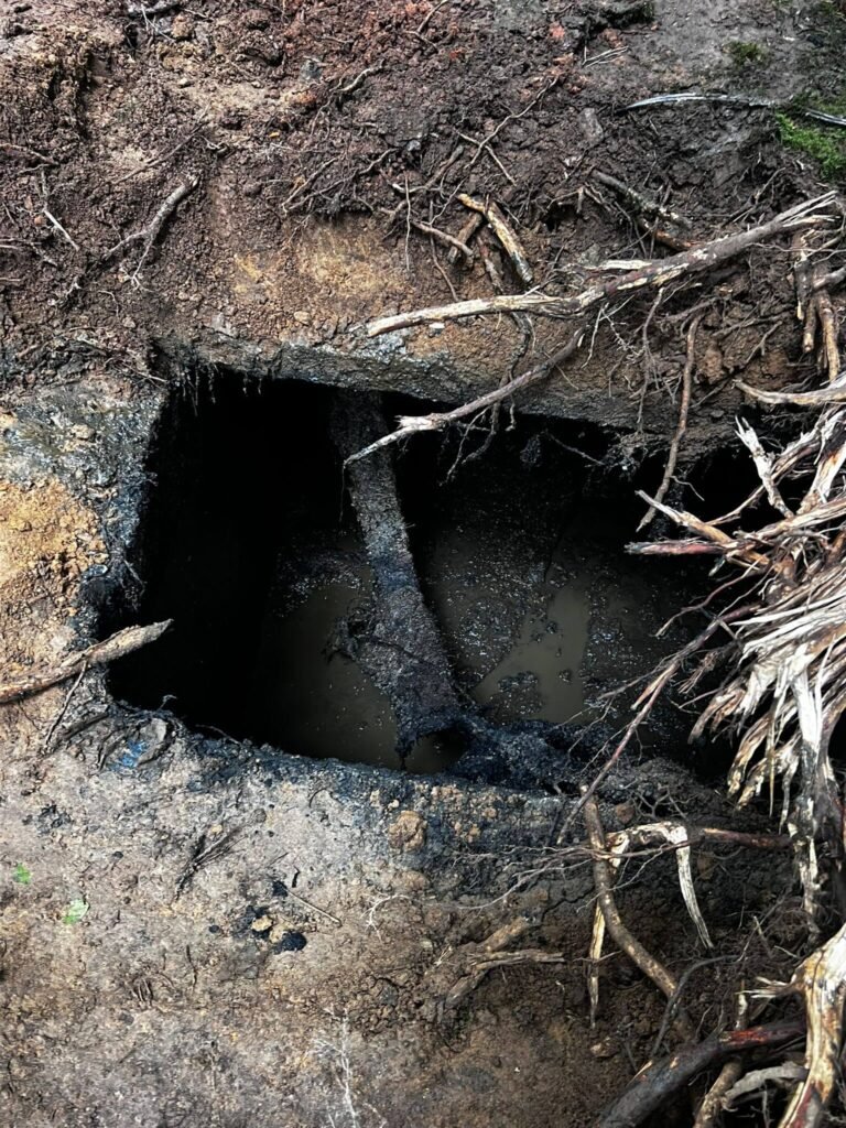 Home 9 Root removal from septic tank