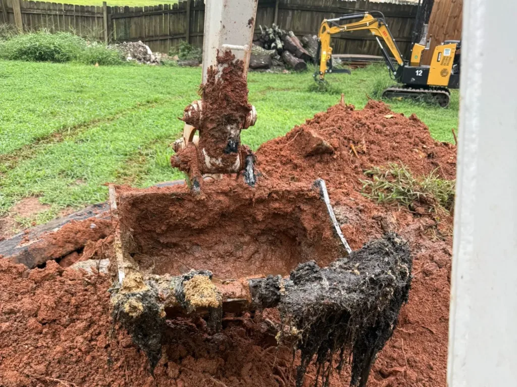 Septic Services Cost