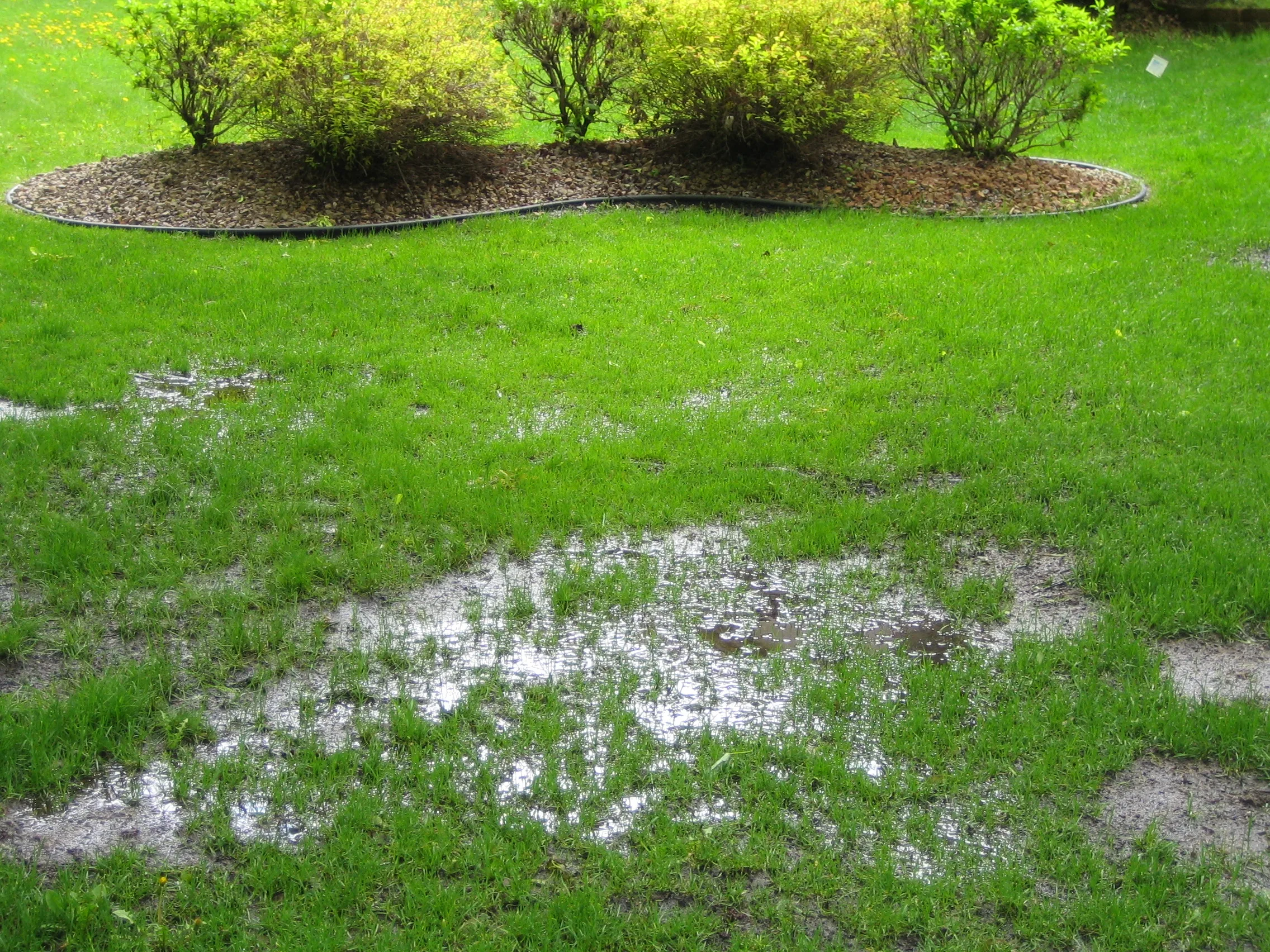 drainfield