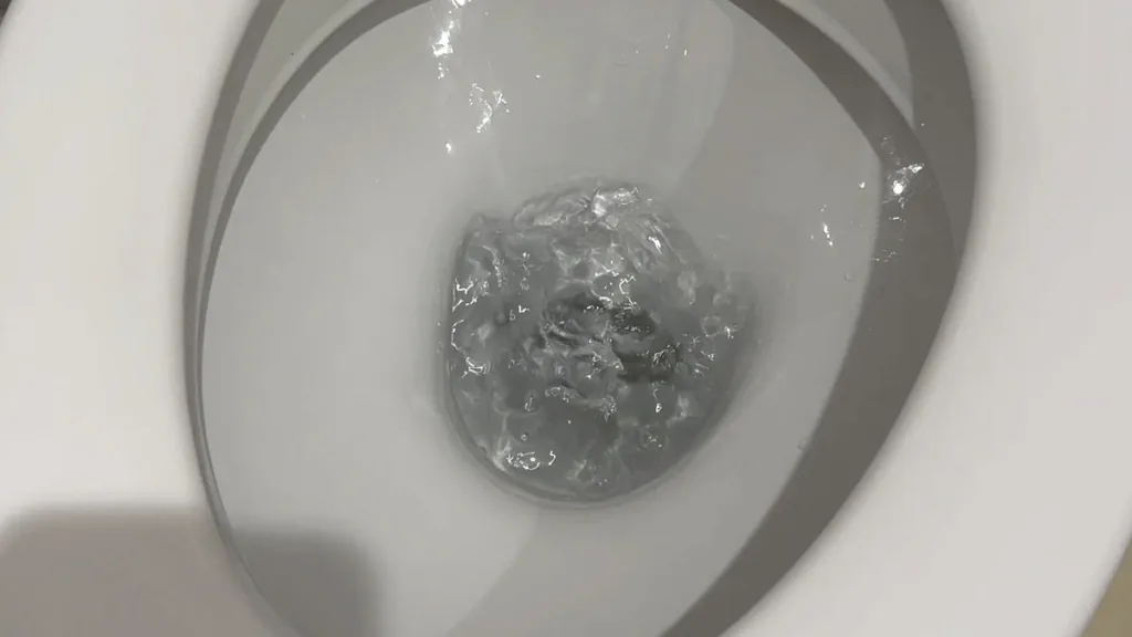Why Is My Toilet Gurgling After I Flush? 1 Toilet gurgling